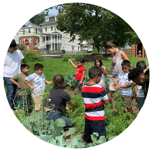 Wayfarer-Foundation-Home-page-group-of-children-picking-vegetables-white-circlev1